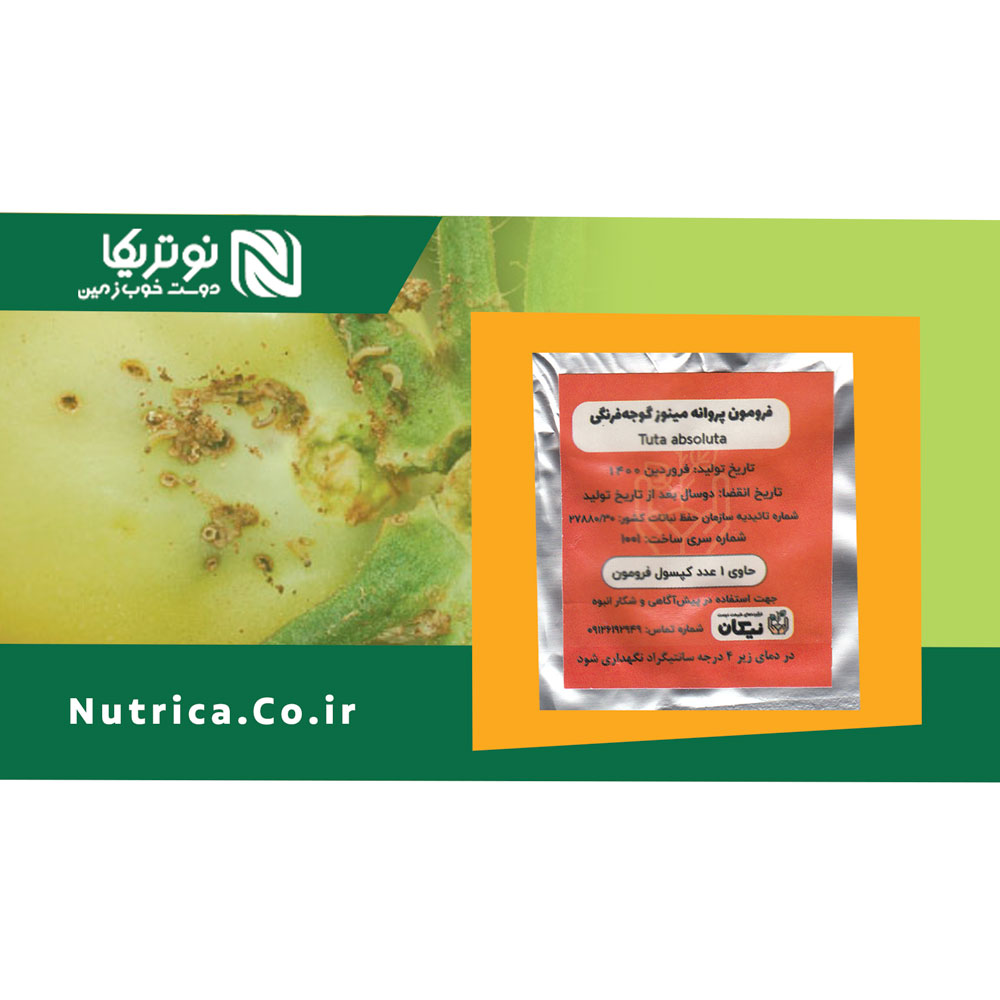 bannernutrica