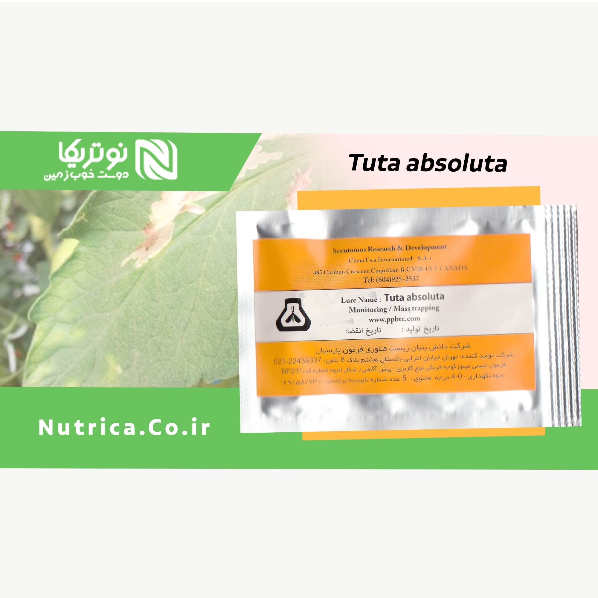 tuta2
