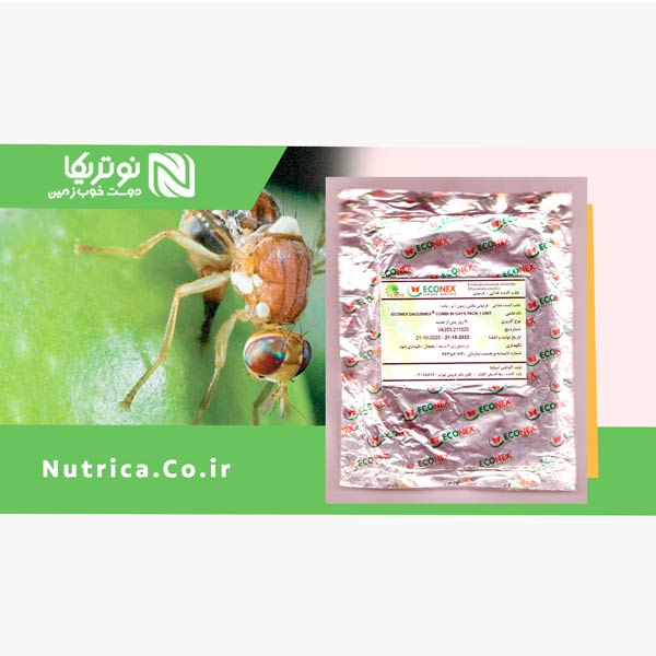 magaszeiton جلب کننده غذایی - فرومونی مگس زیتون (نر و ماده) اکونکس اسپانیا
