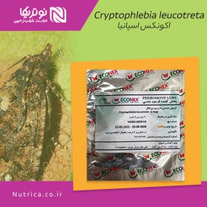 cryptophlebia leucotreta