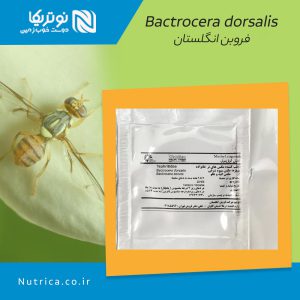 bactrocera dorsalis