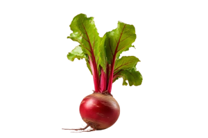 بذر خانگی چغندر